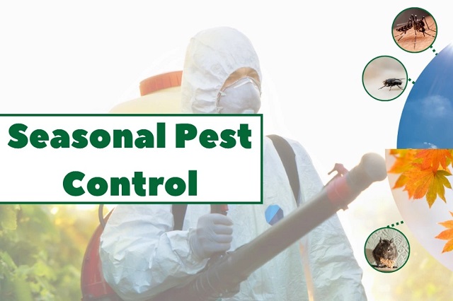 Seasonal Pest Control: How to Protect Your Home Year-Round